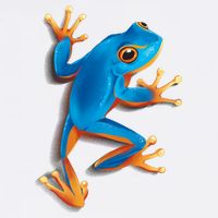 Realistic Blue Tree Frog Full Zip Hoodie