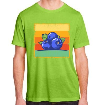 Retro Blueberry Vintage Fruit Aesthetic Blueberry Lover Cute Gift Adult ChromaSoft Performance T-Shirt