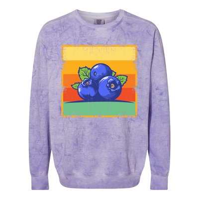 Retro Blueberry Vintage Fruit Aesthetic Blueberry Lover Cute Gift Colorblast Crewneck Sweatshirt