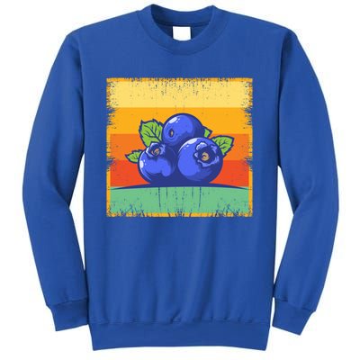 Retro Blueberry Vintage Fruit Aesthetic Blueberry Lover Cute Gift Sweatshirt