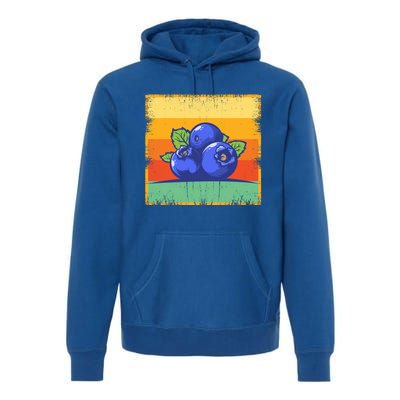 Retro Blueberry Vintage Fruit Aesthetic Blueberry Lover Cute Gift Premium Hoodie