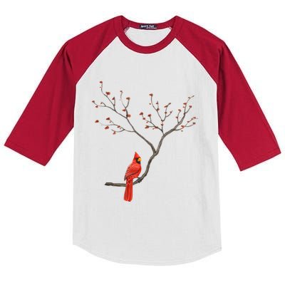 Red Cardinal Bird Lovers Birdwatching Birding Vintage Gift Kids Colorblock Raglan Jersey