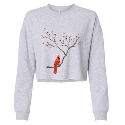 Red Cardinal Bird Lovers Birdwatching Birding Vintage Gift Cropped Pullover Crew