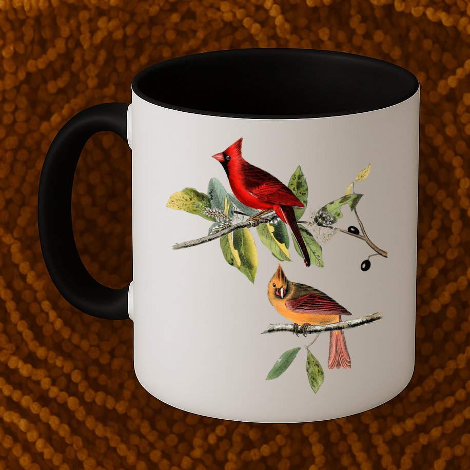 Red Cardinal Bird Male Female Gift For Cardinal Bird Lovers Gift Mug