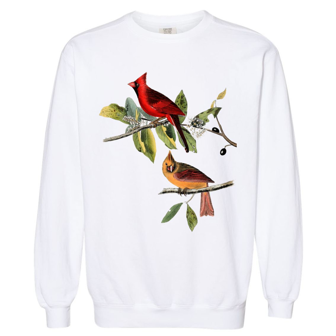 Red Cardinal Bird Male Female Gift For Cardinal Bird Lovers Gift Garment-Dyed Sweatshirt