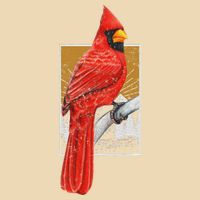 Red Cardinal Bird Watcher Bird Watching Vintage Nature Bird Bag