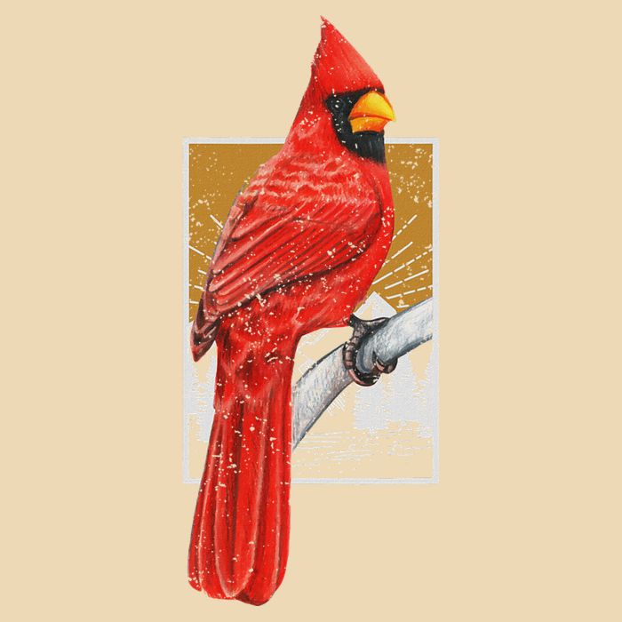 Red Cardinal Bird Watcher Bird Watching Vintage Nature Bird Bag