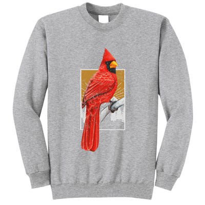 Red Cardinal Bird Watcher Bird Watching Vintage Nature Bird Tall Sweatshirt