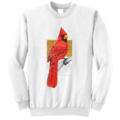 Red Cardinal Bird Watcher Bird Watching Vintage Nature Bird Sweatshirt