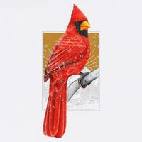 Red Cardinal Bird Watcher Bird Watching Vintage Nature Bird Bucket Hat