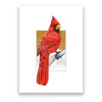 Red Cardinal Bird Watcher Bird Watching Vintage Nature Bird Poster