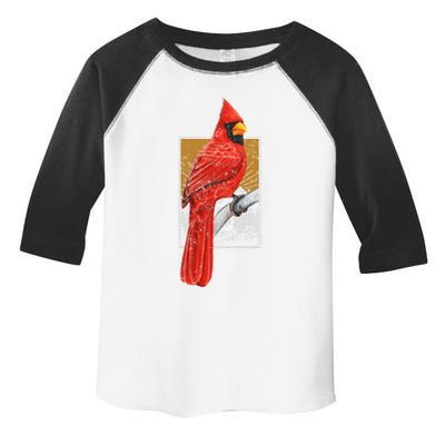 Red Cardinal Bird Watcher Bird Watching Vintage Nature Bird Toddler Fine Jersey T-Shirt