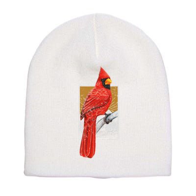 Red Cardinal Bird Watcher Bird Watching Vintage Nature Bird Short Acrylic Beanie