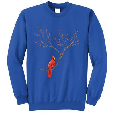 Red Cardinal Bird Lovers Birdwatching Birding Vintage Gift Cute Gift Sweatshirt