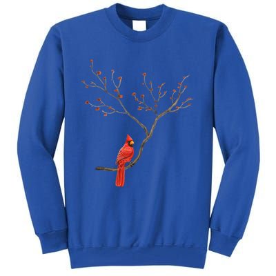 Red Cardinal Bird Lovers Birdwatching Birding Vintage Gift Cute Gift Tall Sweatshirt