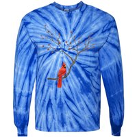 Red Cardinal Bird Lovers Birdwatching Birding Vintage Gift Cute Gift Tie-Dye Long Sleeve Shirt