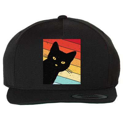 Retro Cat Black Cat Vintage Cat Cat Wool Snapback Cap