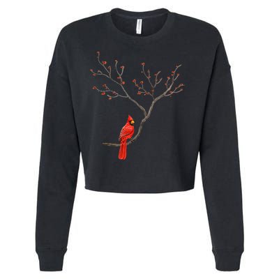 Red Cardinal Bird Lovers Birdwatching Birding Vintage Cropped Pullover Crew