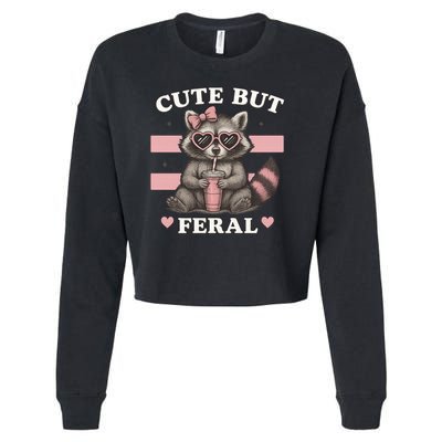 Raccoon Cute But Feral Funny Animal Cropped Pullover Crew