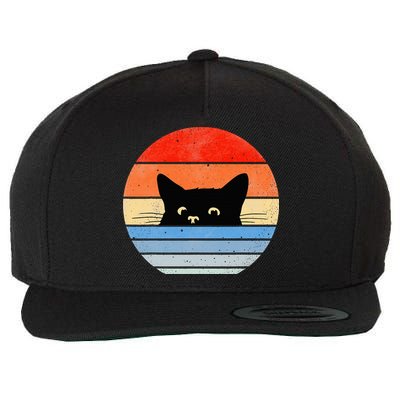 Retro Cat Cat Lover Cat Owner Cute Cat Wool Snapback Cap
