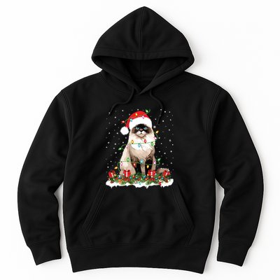 Ragdoll Cat Christmas Lights Xmas Holiday Cat Lover Hoodie