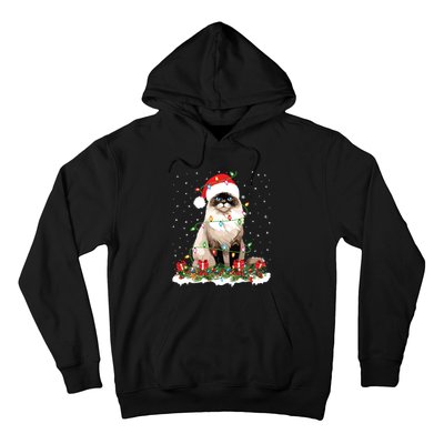 Ragdoll Cat Christmas Lights Xmas Holiday Cat Lover Hoodie