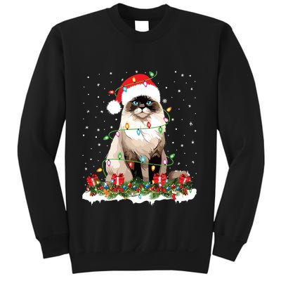 Ragdoll Cat Christmas Lights Xmas Holiday Cat Lover Sweatshirt