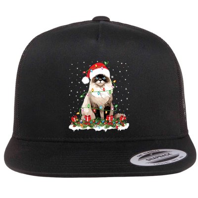 Ragdoll Cat Christmas Lights Xmas Holiday Cat Lover Flatbill Hat