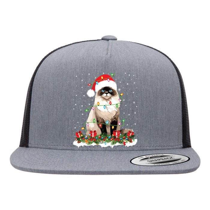 Ragdoll Cat Christmas Lights Xmas Holiday Cat Lover Flat Bill Trucker Hat