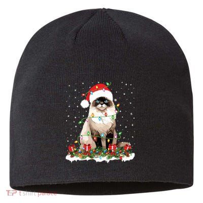 Ragdoll Cat Christmas Lights Xmas Holiday Cat Lover Sustainable Beanie