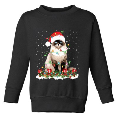 Ragdoll Cat Christmas Lights Xmas Holiday Cat Lover Toddler Sweatshirt