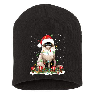 Ragdoll Cat Christmas Lights Xmas Holiday Cat Lover Short Acrylic Beanie