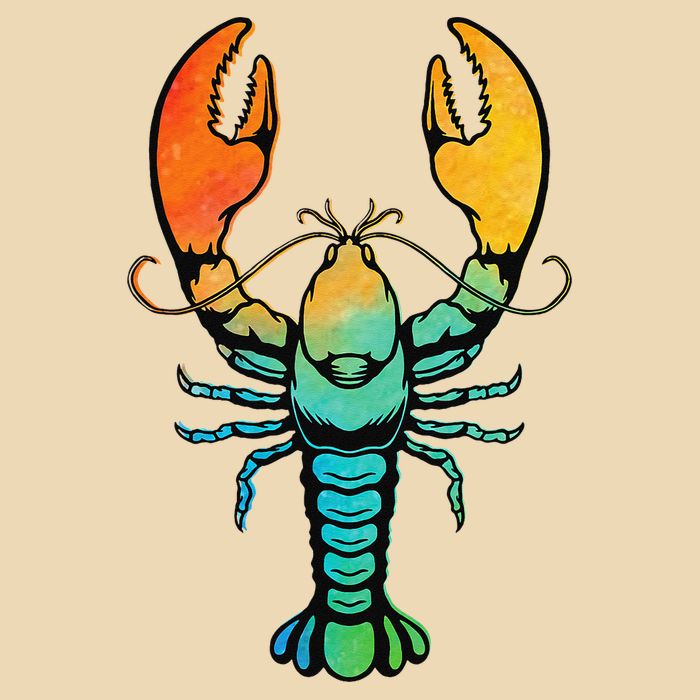 Retro Crawfish Design Louisiana Crayfish Lobster Drawstring Bag