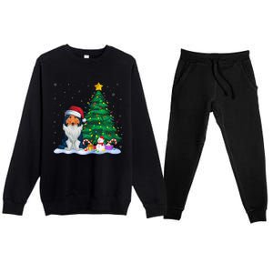 Rough Collie Dog Xmas Tree Lights Reindeer Hat Christmas Premium Crewneck Sweatsuit Set