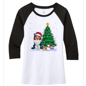 Rough Collie Dog Xmas Tree Lights Reindeer Hat Christmas Women's Tri-Blend 3/4-Sleeve Raglan Shirt