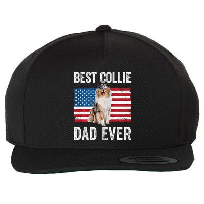 Rough Collie Dad American Flag Collie Dog Lover Owner Funny Wool Snapback Cap