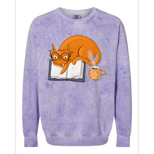 Reading Cat Funny Book & Coffee Lover Colorblast Crewneck Sweatshirt