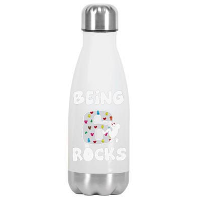 Rock Climbing Funny 6 Years Old 6th Birthday Gift Stainless Steel Insulated Water Bottle