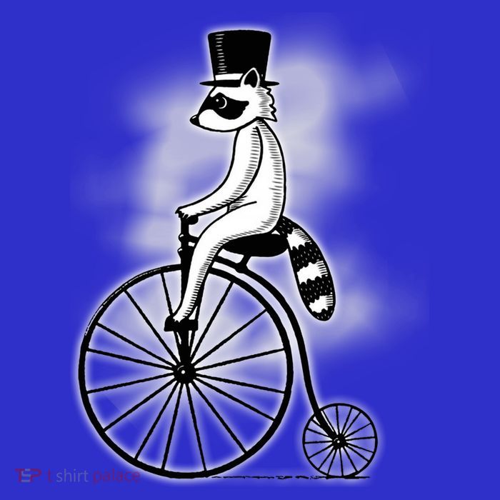 Raccon Circus Funny Fancy Raccon T-Shirt