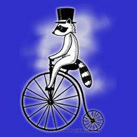 Raccon Circus Funny Fancy Raccon Button