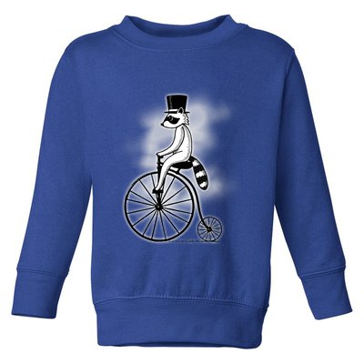 Raccon Circus Funny Fancy Raccon Toddler Sweatshirt