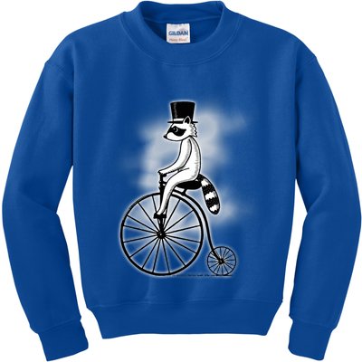 Raccon Circus Funny Fancy Raccon Kids Sweatshirt