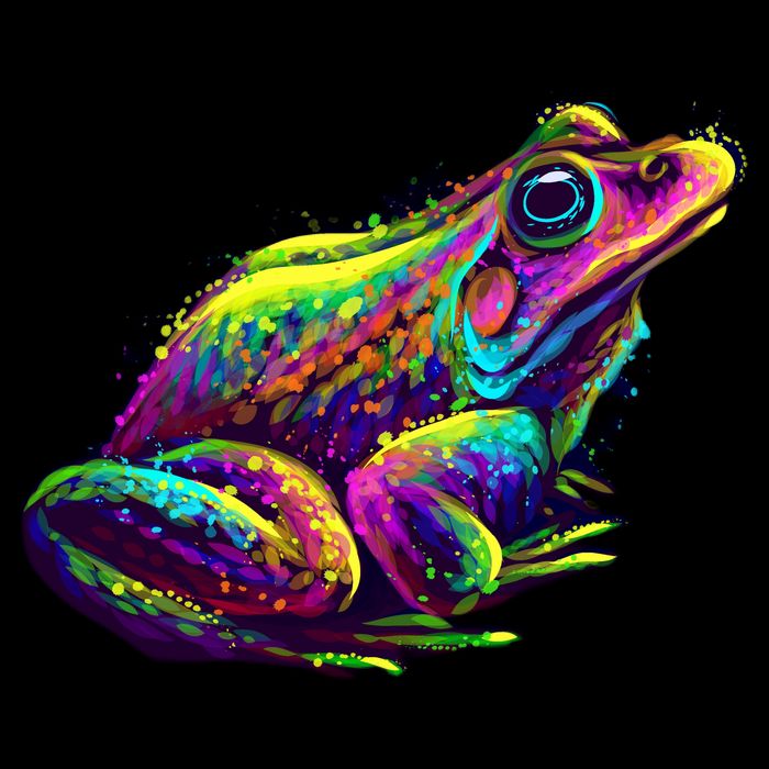 Realistic Colorful Frog Abstract Pose Button
