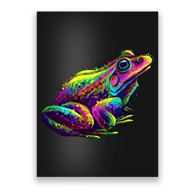 Realistic Colorful Frog Abstract Pose Poster