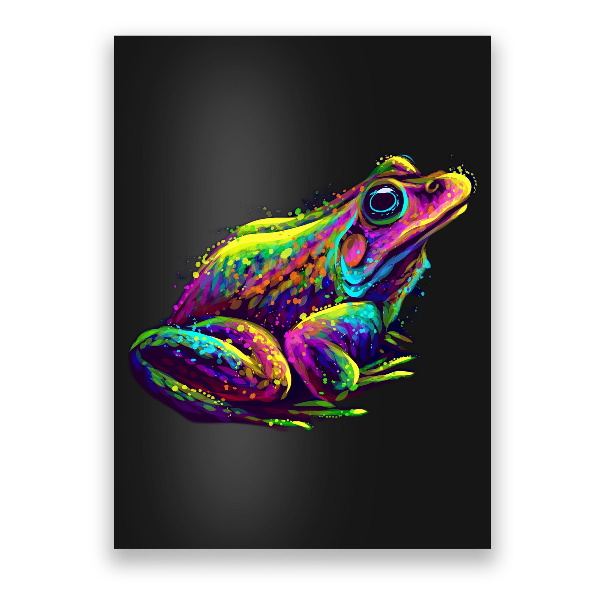 Realistic Colorful Frog Abstract Pose Poster