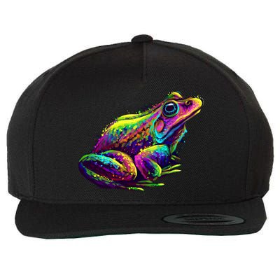 Realistic Colorful Frog Abstract Pose Wool Snapback Cap