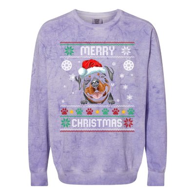 Rottweiler Christmas Funny Dog Lover Xmas Ugly Sweater Meaningful Gift Colorblast Crewneck Sweatshirt