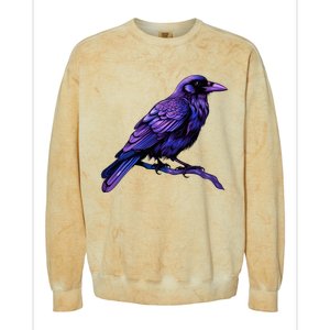 Raven Crow Graphic Colorblast Crewneck Sweatshirt