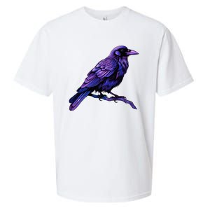 Raven Crow Graphic Sueded Cloud Jersey T-Shirt