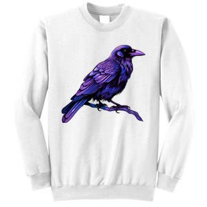 Raven Crow Graphic Sweatshirt